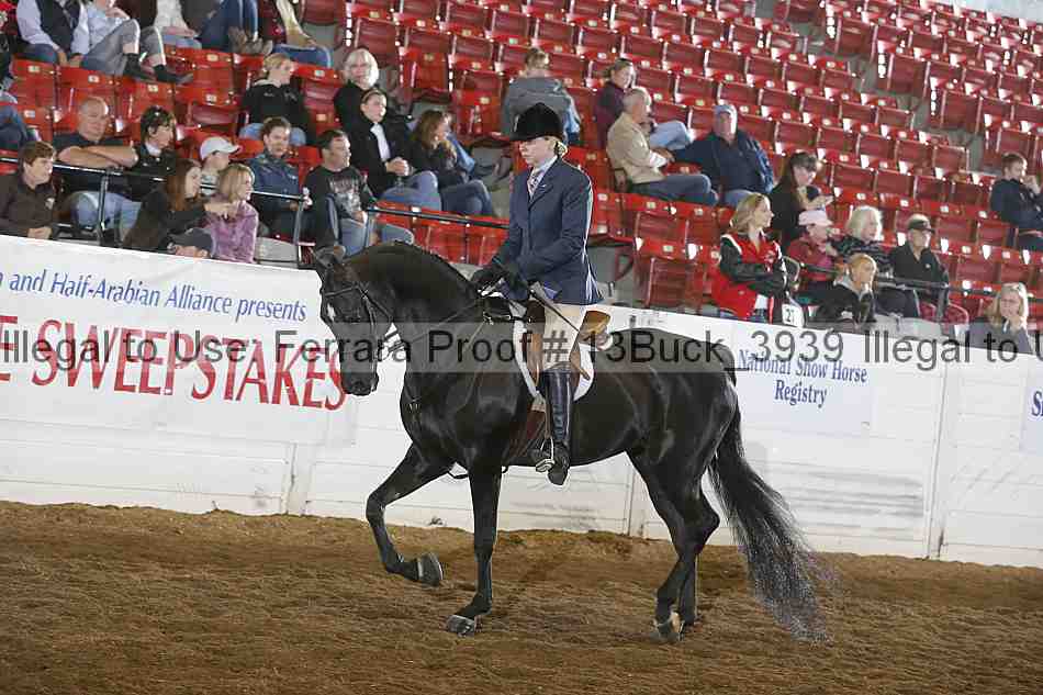 Proof Number 13buck_3939