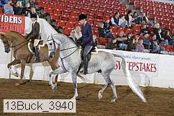 13buck_3940 thumbnail