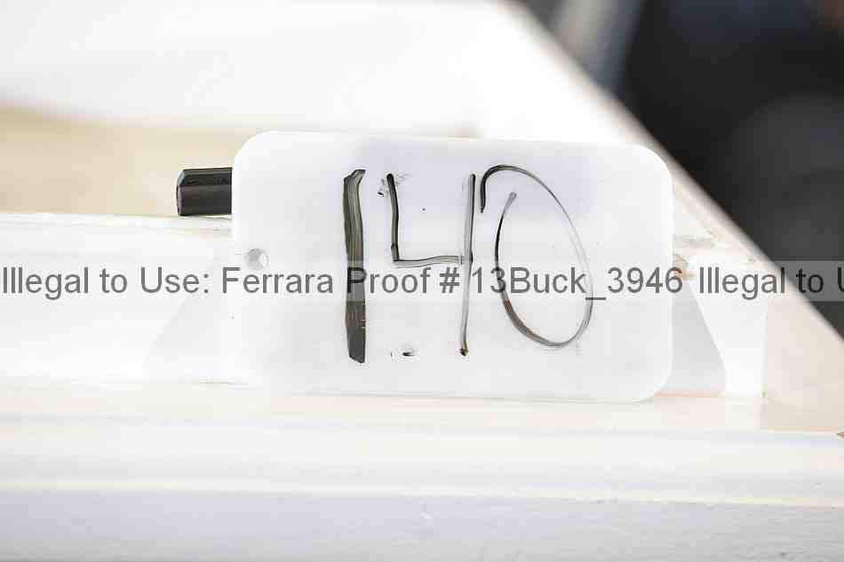 Proof Number 13buck_3946