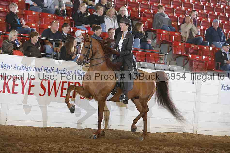 Proof Number 13buck_3954