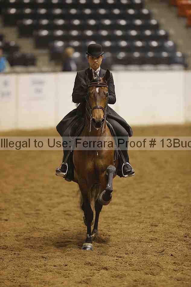 Proof Number 13buck_3966