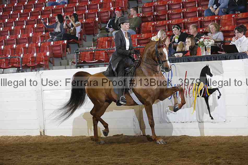 Proof Number 13buck_3979