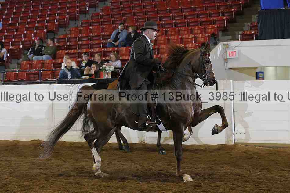 Proof Number 13buck_3985