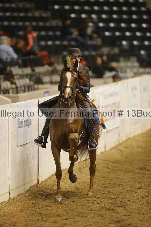 Proof Number 13buck_4007