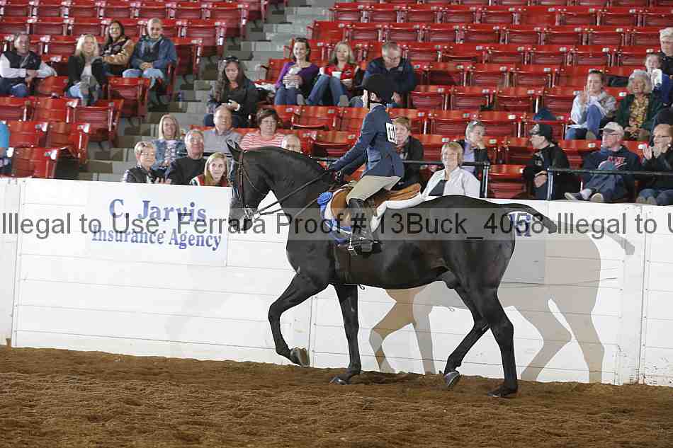 Proof Number 13buck_4058