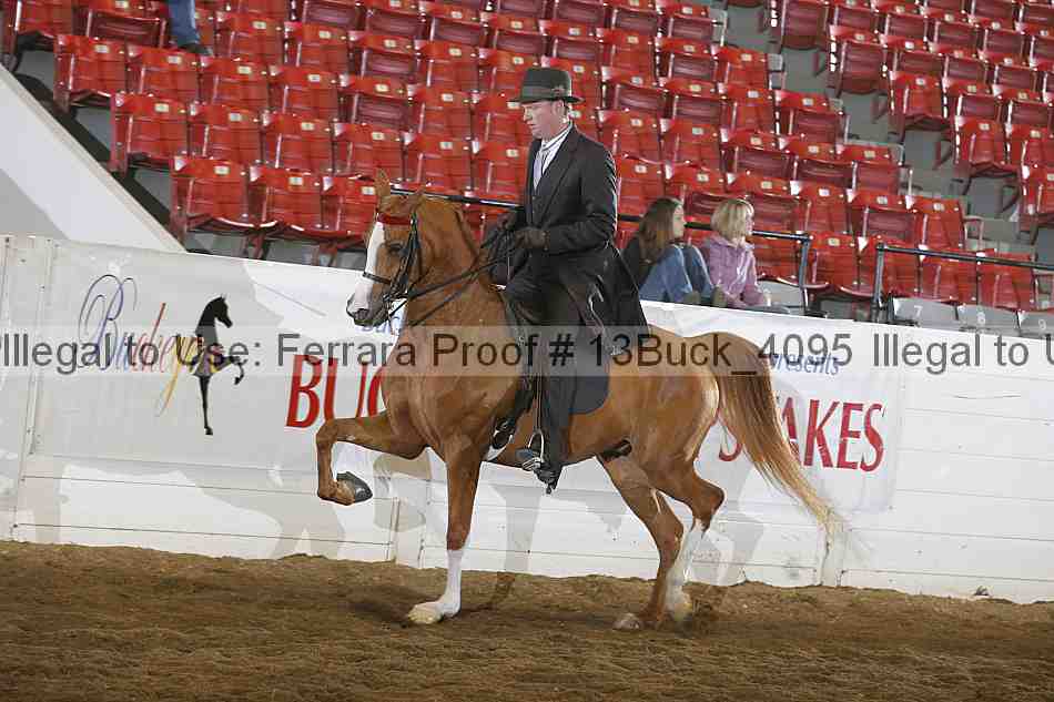 Proof Number 13buck_4095