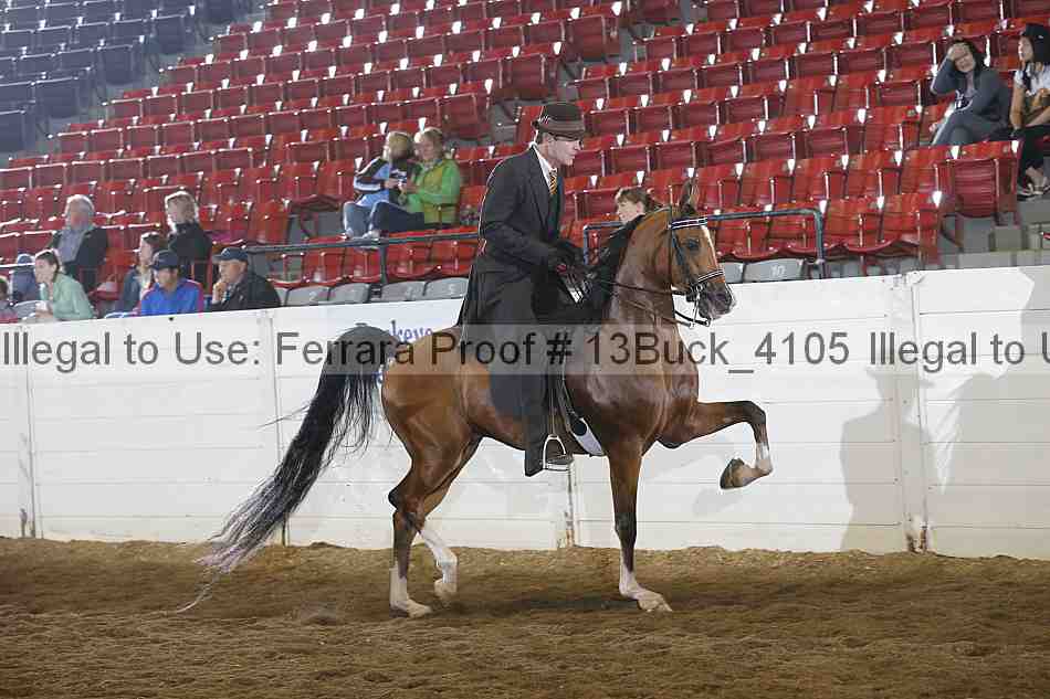 Proof Number 13buck_4105