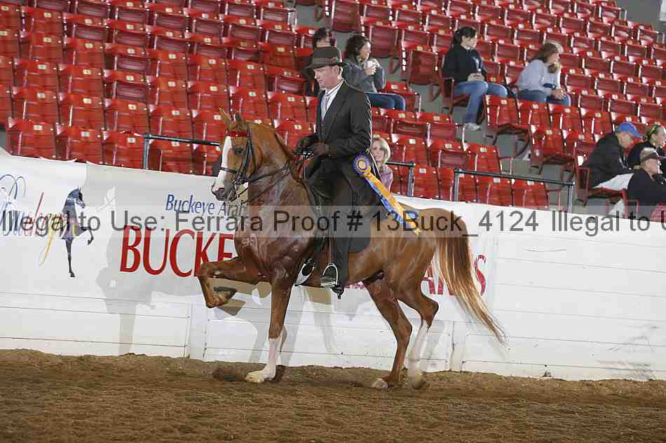 Proof Number 13buck_4124