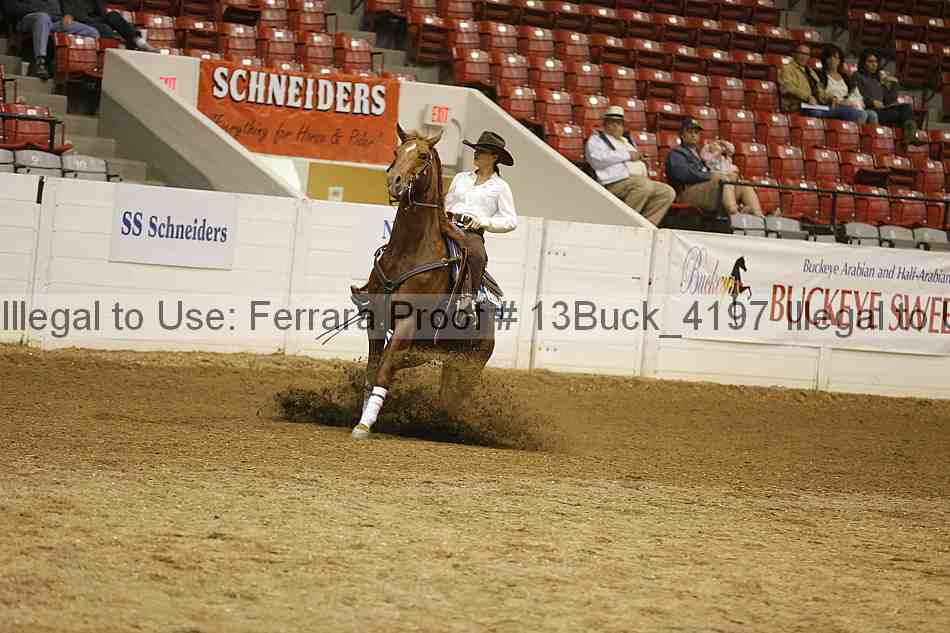 Proof Number 13buck_4197