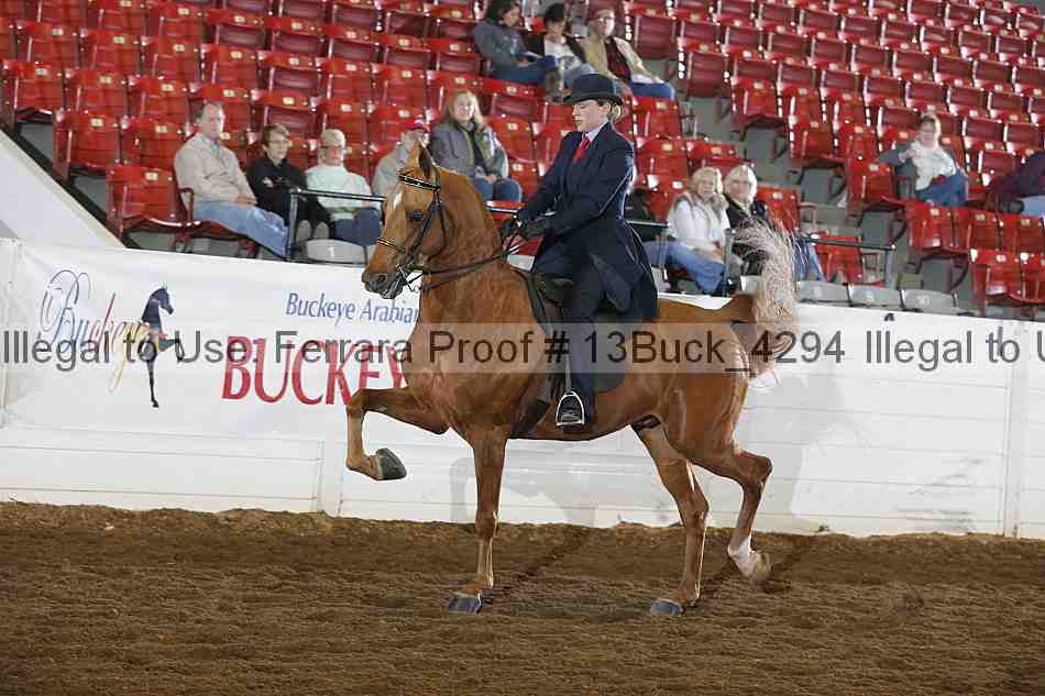 Proof Number 13buck_4294