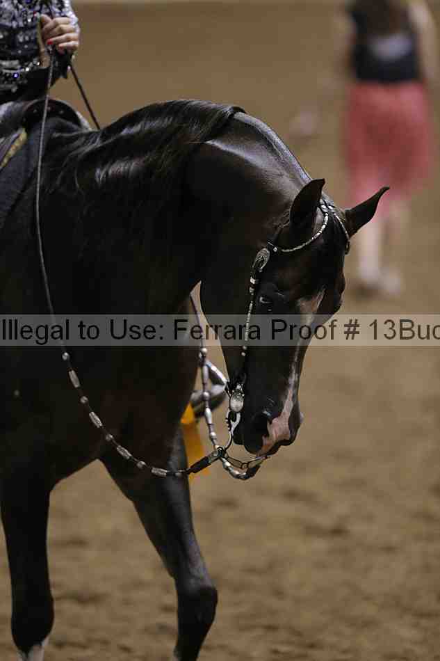 Proof Number 13buck_4362