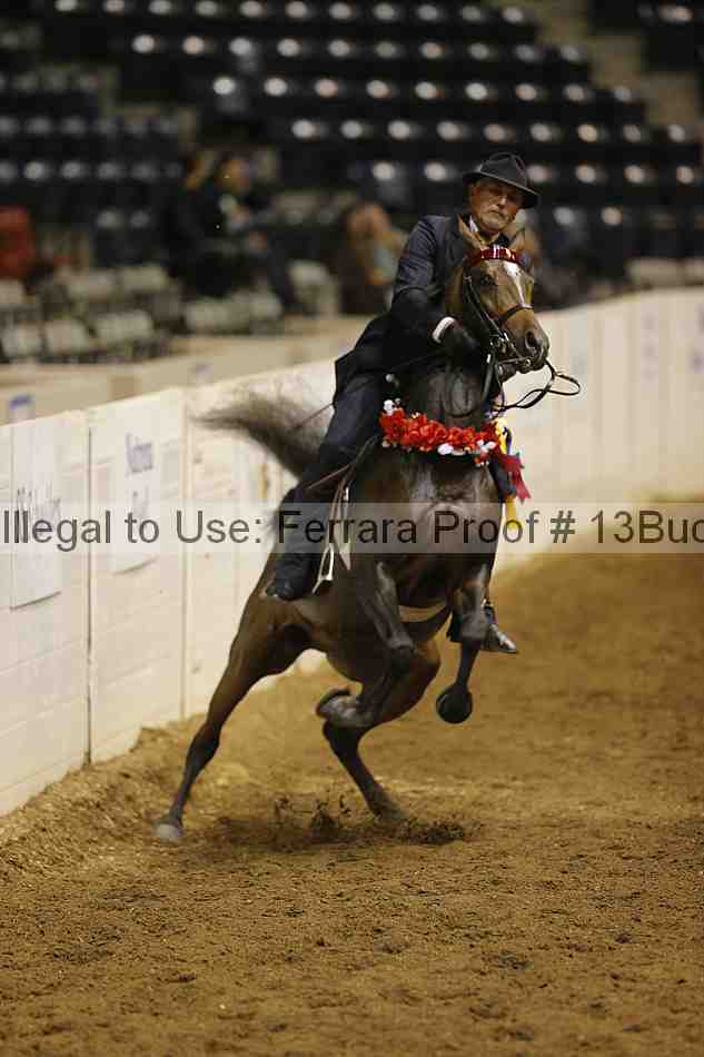 Proof Number 13buck_4390