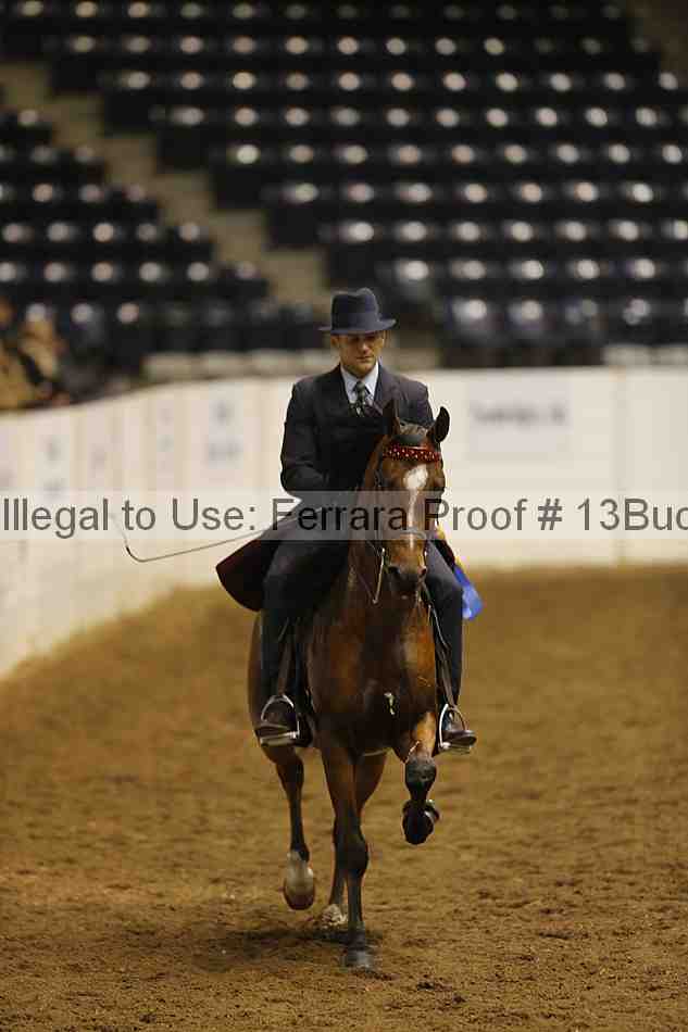 Proof Number 13buck_4405