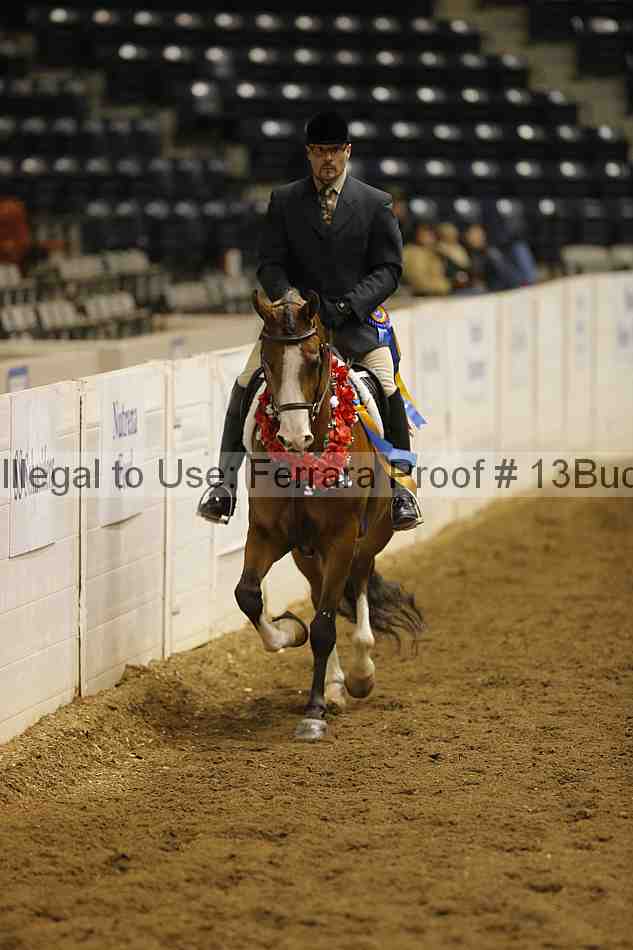Proof Number 13buck_4492