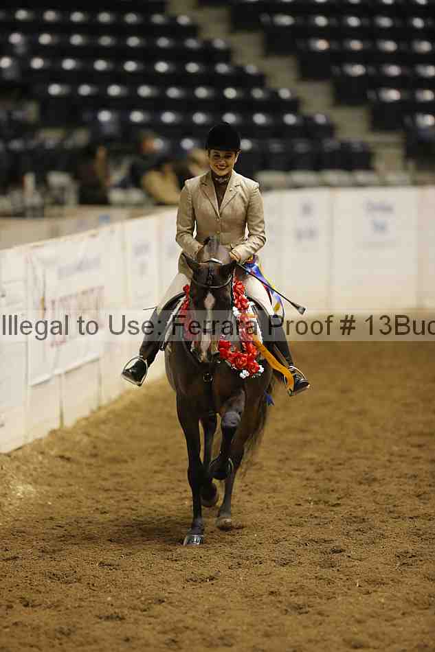 Proof Number 13buck_4598