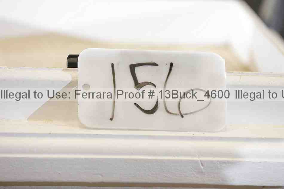 Proof Number 13buck_4600