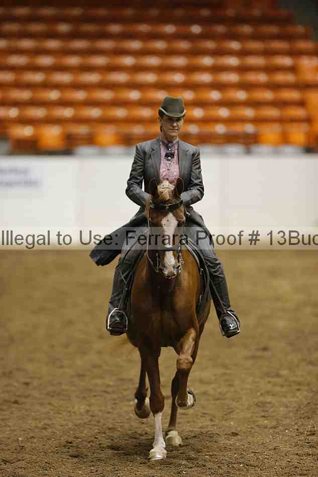 Proof Number 13buck_4614