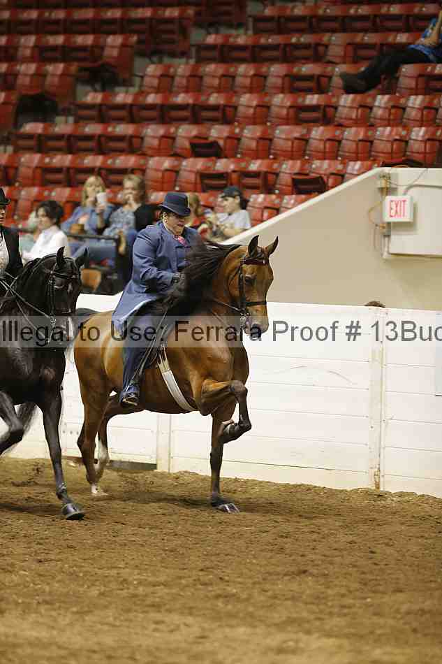 Proof Number 13buck_4704