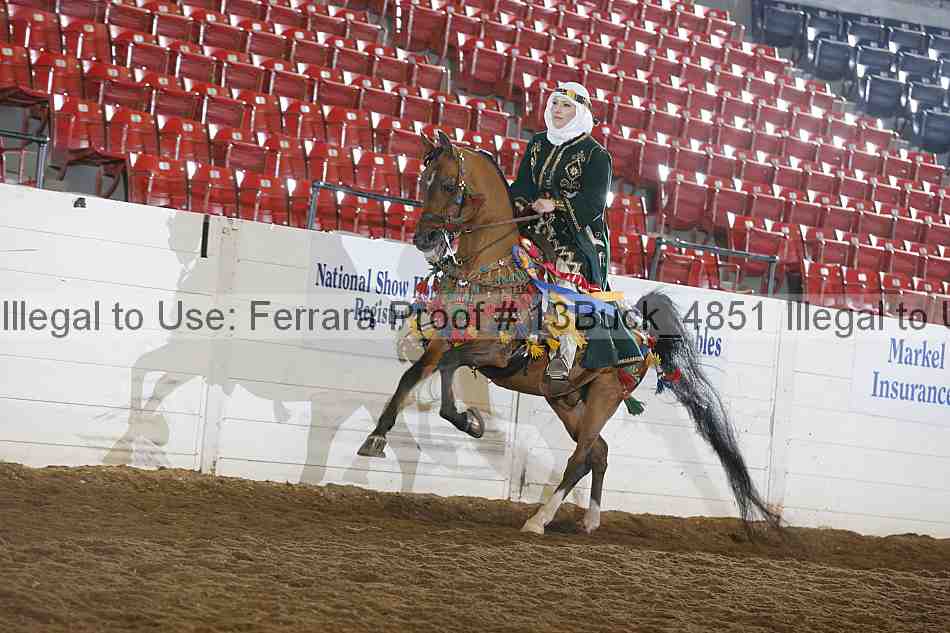 Proof Number 13buck_4851