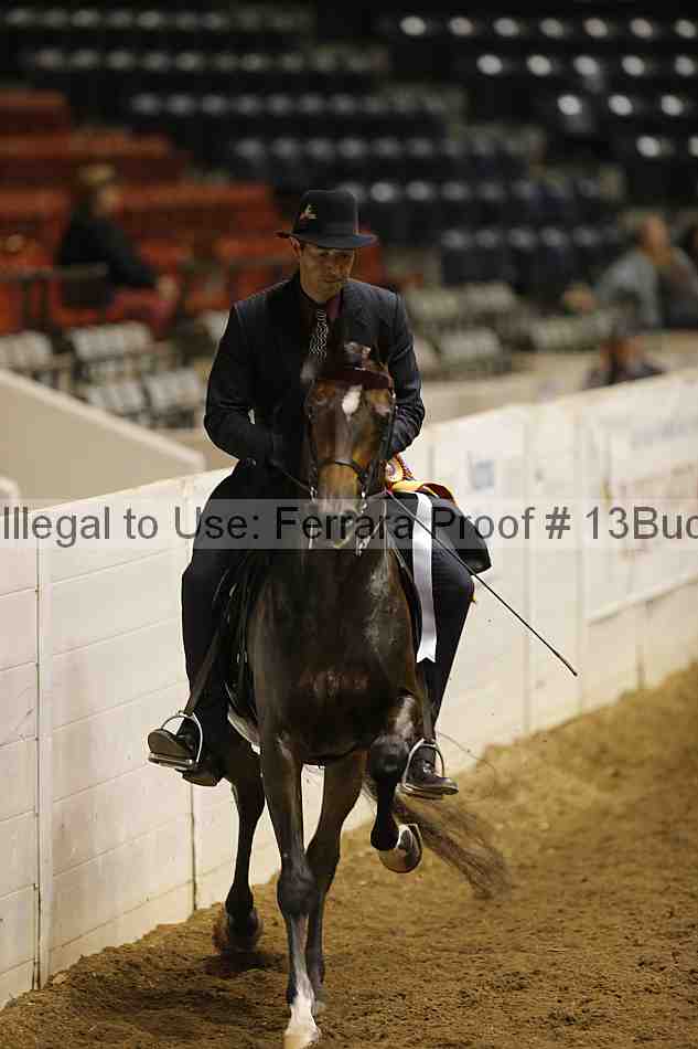 Proof Number 13buck_4819