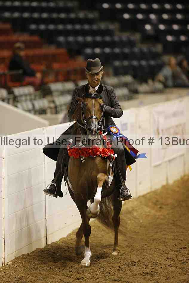Proof Number 13buck_4825