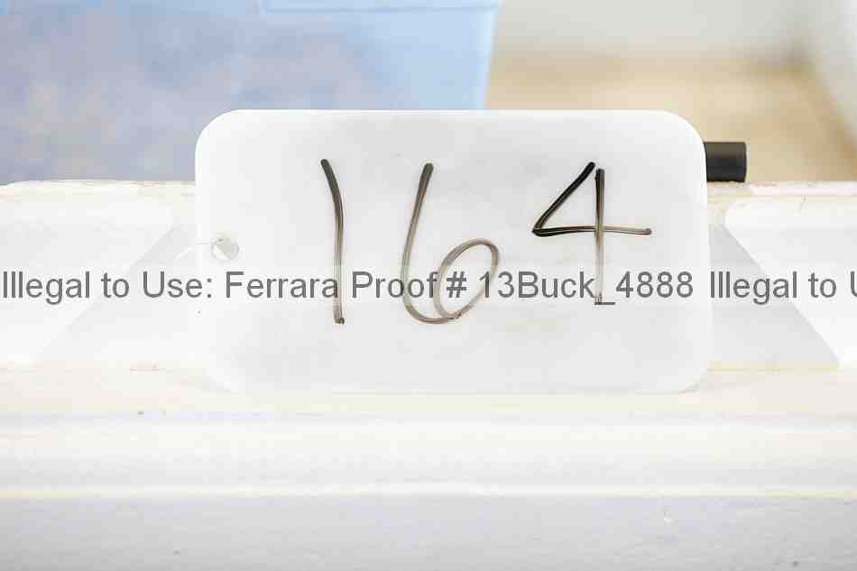 Proof Number 13buck_4888