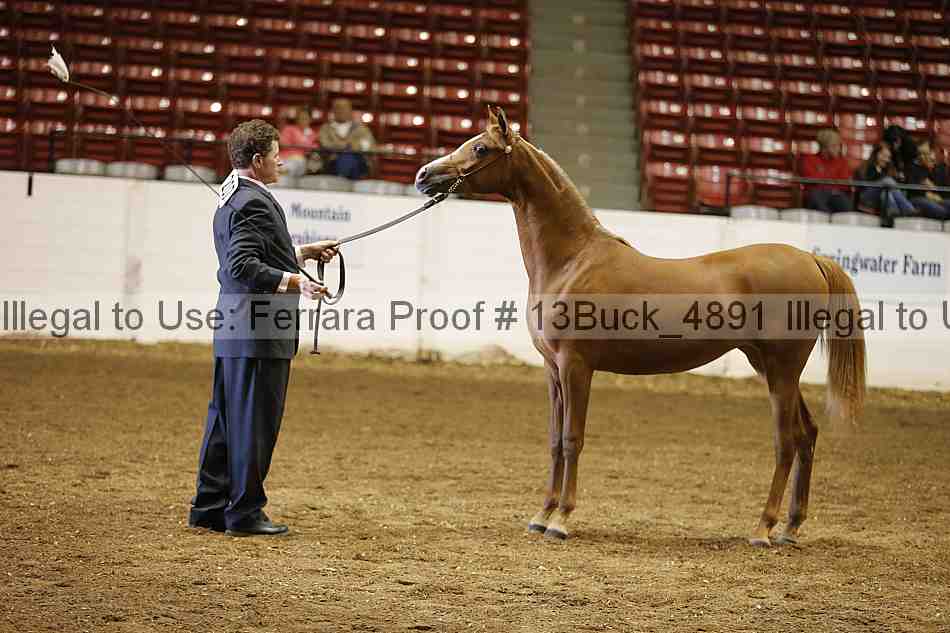 Proof Number 13buck_4891