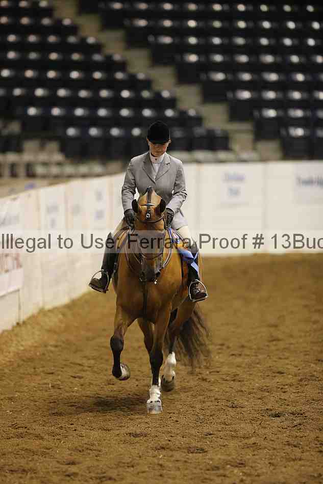 Proof Number 13buck_4957