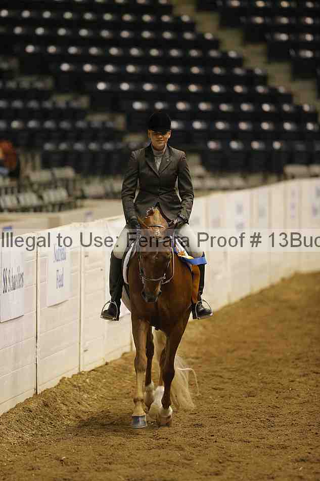 Proof Number 13buck_4961