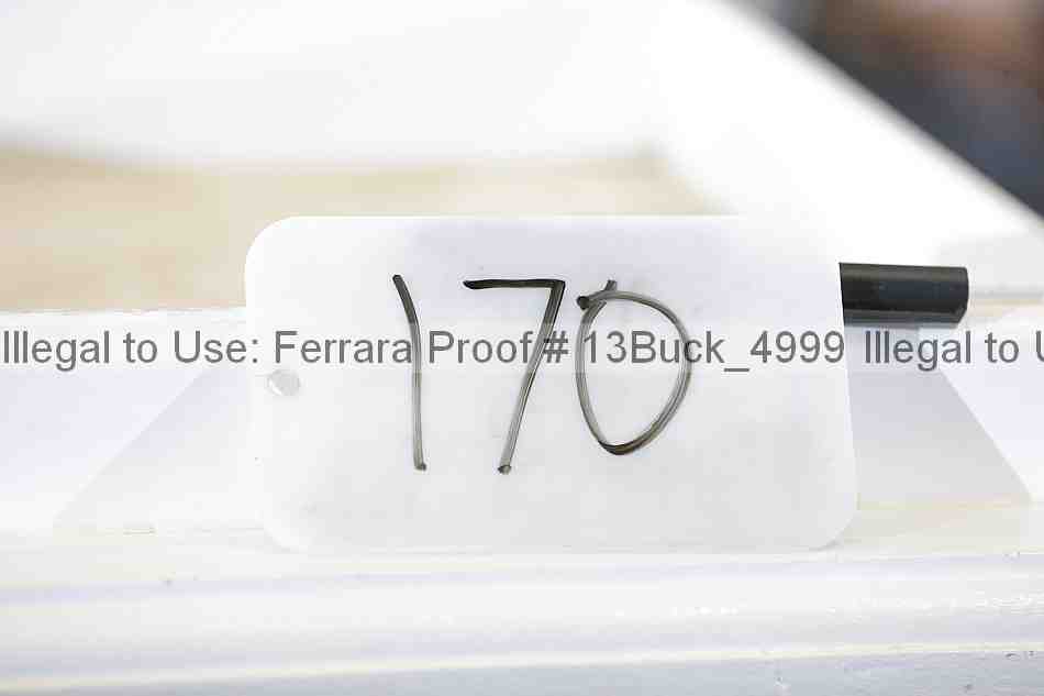 Proof Number 13buck_4999