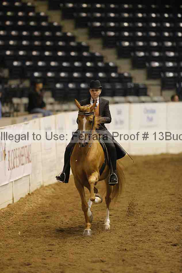 Proof Number 13buck_5011
