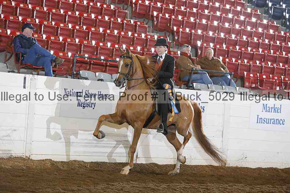 Proof Number 13buck_5029