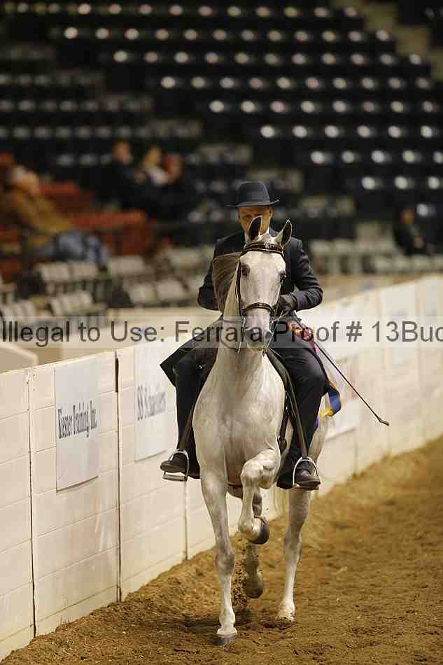 Proof Number 13buck_5036