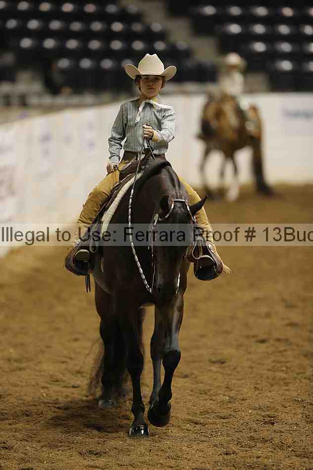 Proof Number 13buck_5041