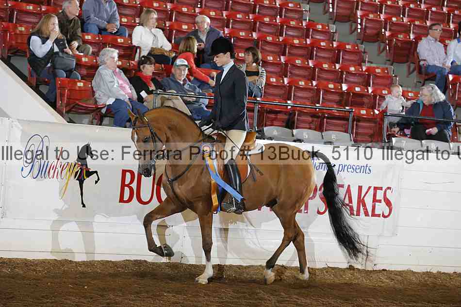Proof Number 13buck_5110