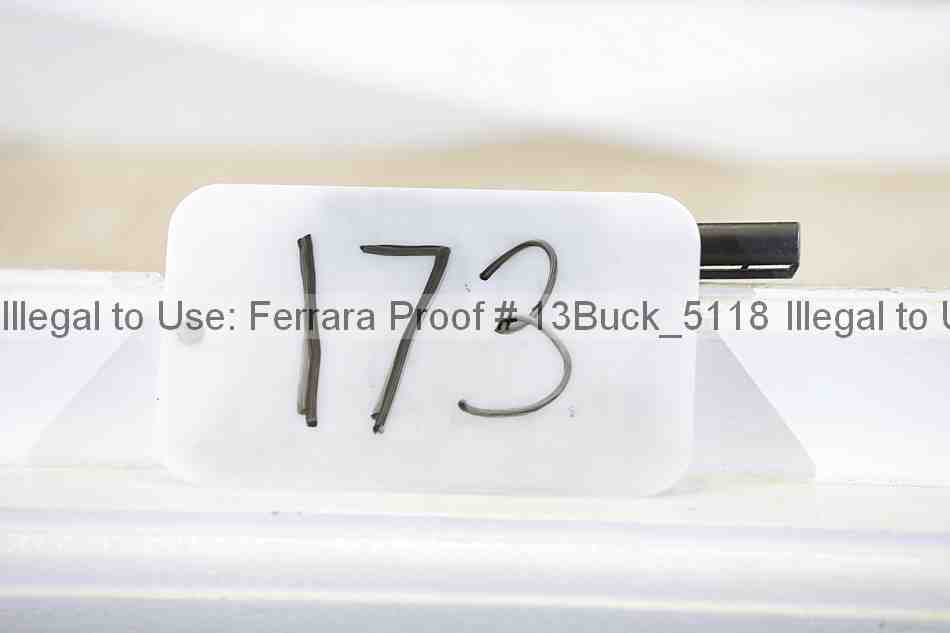 Proof Number 13buck_5118