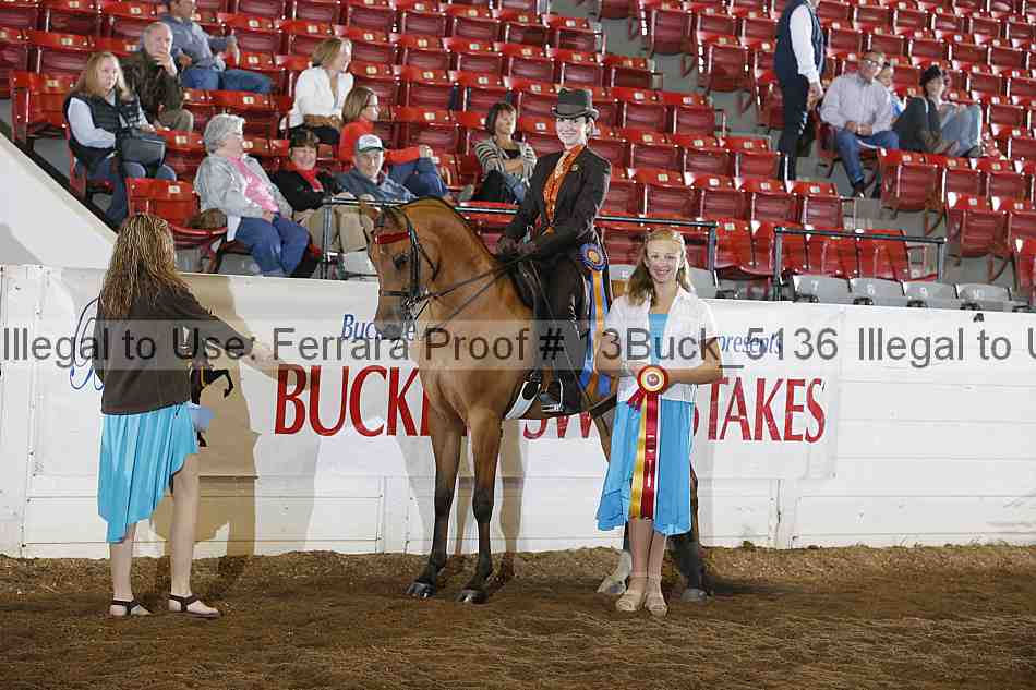Proof Number 13buck_5136