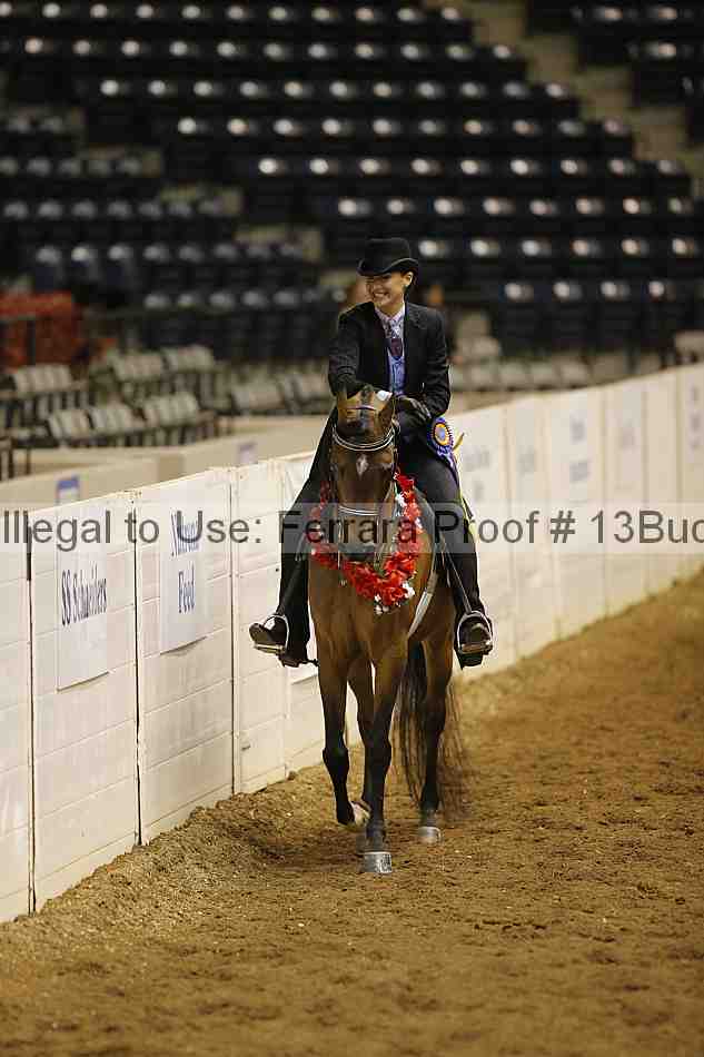 Proof Number 13buck_5143