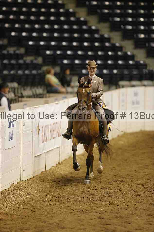 Proof Number 13buck_5155