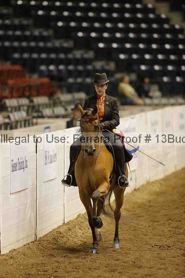 Proof Number 13buck_5160