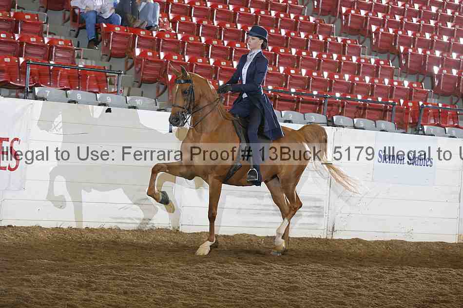 Proof Number 13buck_5179
