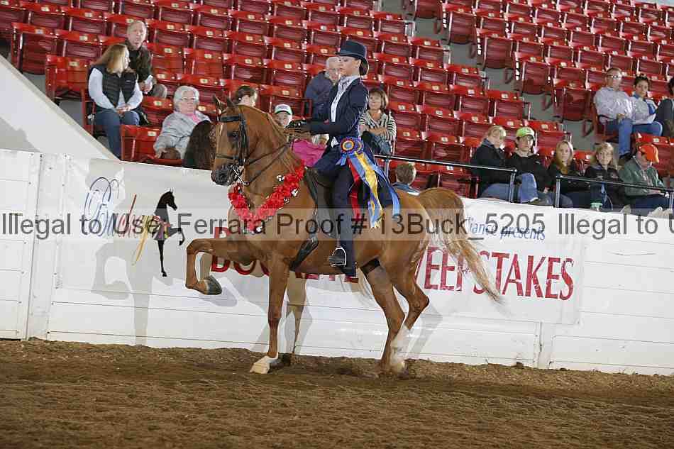 Proof Number 13buck_5205
