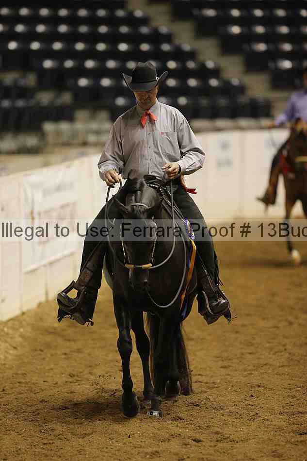 Proof Number 13buck_5241