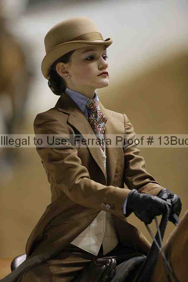 Proof Number 13buck_5253