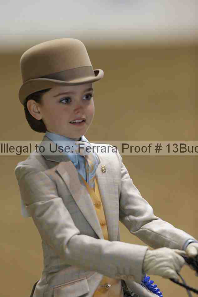 Proof Number 13buck_5280