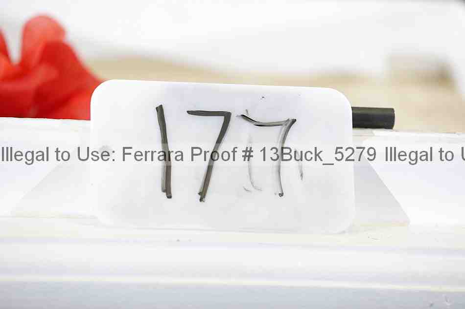 Proof Number 13buck_5279