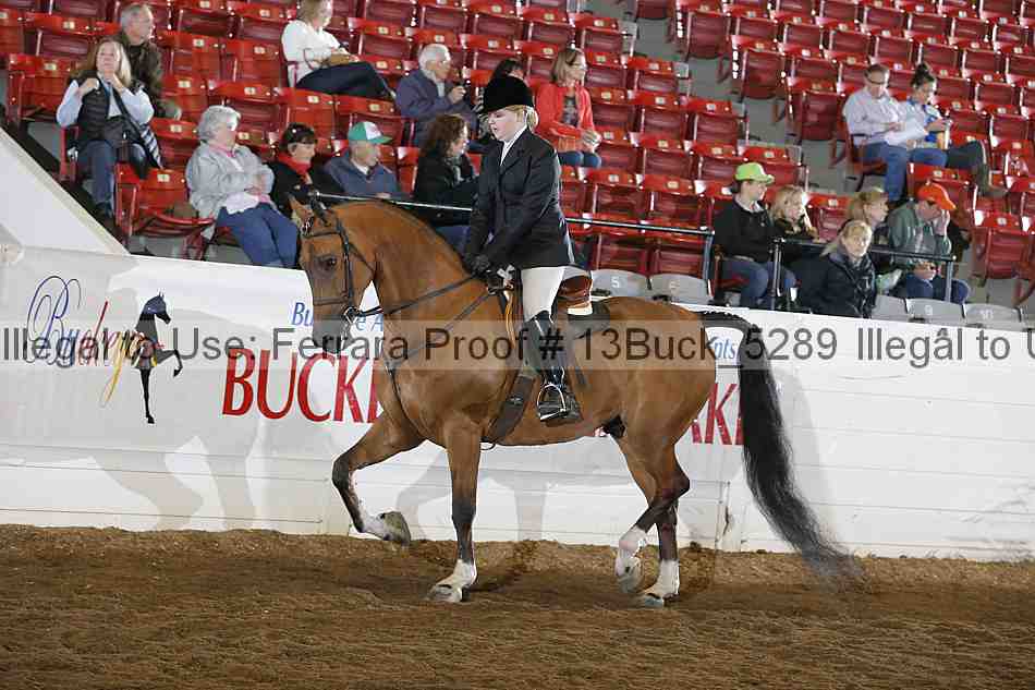 Proof Number 13buck_5289