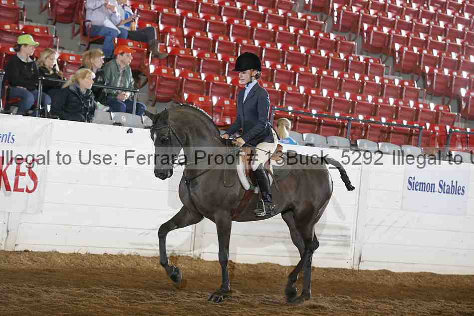 Proof Number 13buck_5292