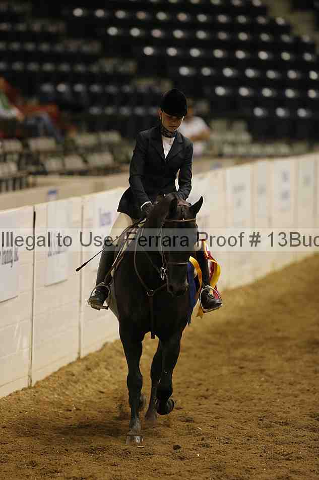 Proof Number 13buck_5312