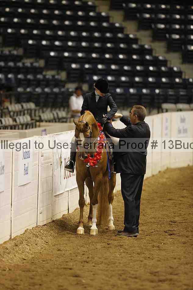 Proof Number 13buck_5317